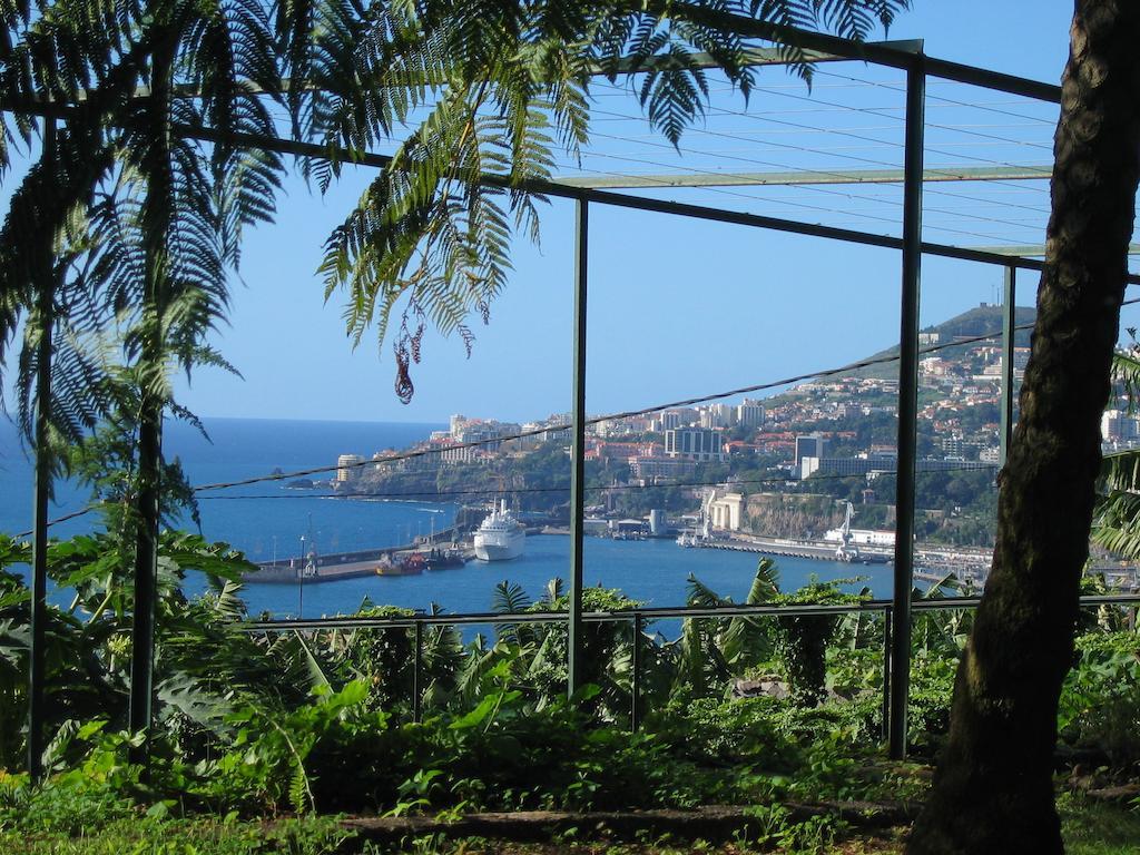 Вилла Quinta Sao Goncalo Фуншал Экстерьер фото
